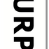 products/MYSTERY_MURPHY_WHITE_LOGO_DECK_2.png